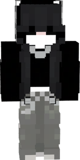 <333