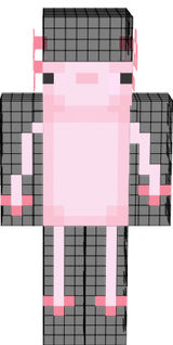 ajo