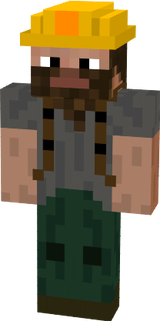 Steve miner