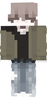v1