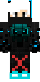 skin 1