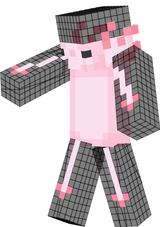 skin