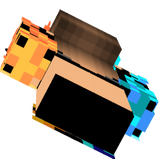 test1