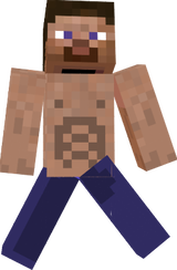 steve