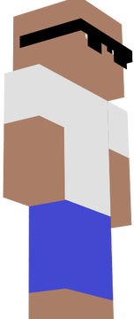 skin de hgzeiro
