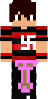 FLAsuastic pintão