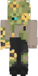 StanleSky