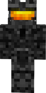 skin11