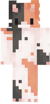 gato 1