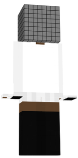 tes