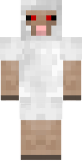Sheep
