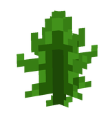 weed