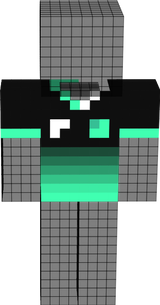 camisrsa