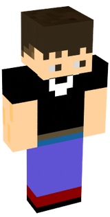 Ervin Remastered 100%