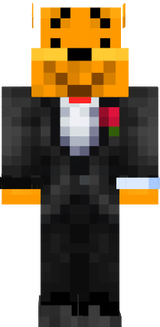 miniciraft skin