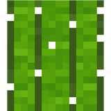cactus_side