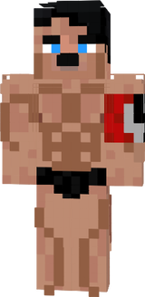 sas
