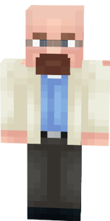 skinMC