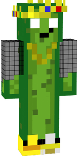 MINHA SKIN