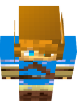Link Skin