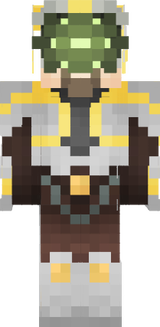 Master yi