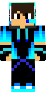 skin 