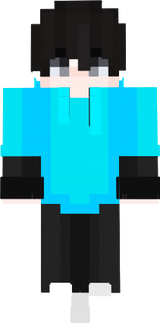 snocimvi