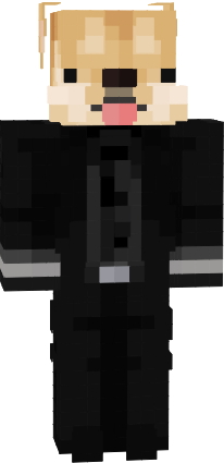 Preview of texture: doge