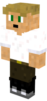 BACIS:minecraft:skin(V:2)