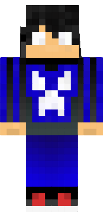 Preview of texture: oer