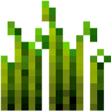 wheat_stage_6