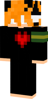 skin lupa customizado