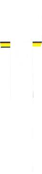 mñ