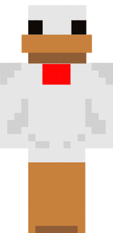 shado base