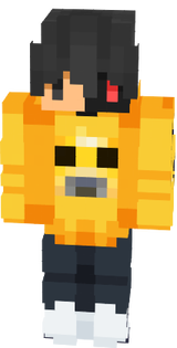 Ethobot 1