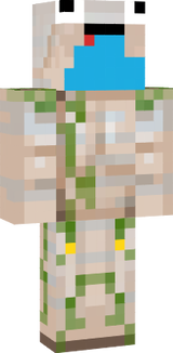 skin 