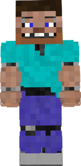 steve robo