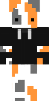 Gato XD