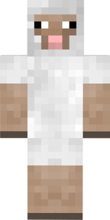 Sheep