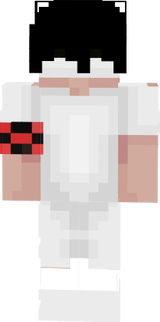 nova skin minha