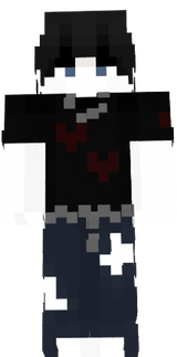 SKIN PAYISS