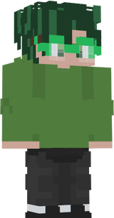 skin.sansi