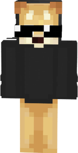 ponggodoggo