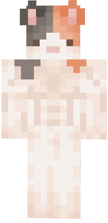 Preview of texture: SkinGatoMamadoSinPantalones