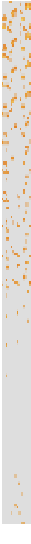 Preview of texture: LAVA AR