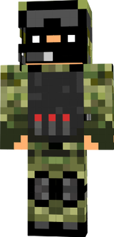 Soldier