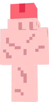 penis