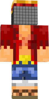 skin
