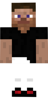 steve test