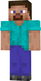 steve